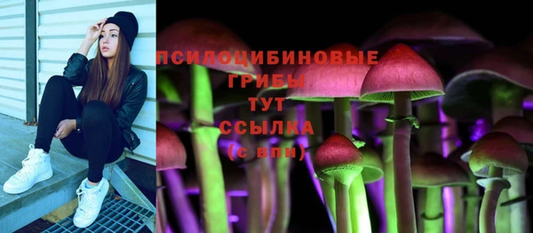 не бодяженный Аркадак