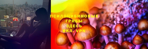 mix Новозыбков