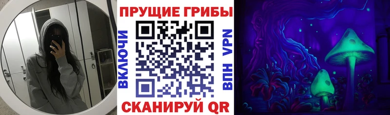 Галлюциногенные грибы Psilocybe  Тавда 